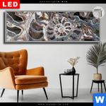 Leuchtbild Dia Muschel Fossil No 3 Panorama Produktvorschau mit dem Bild Muschel Fossil No. 3 im Format Panorama.