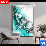 Leuchtbild Dia Muscheln Meereszauber In Tuerkis Hochformat Produktvorschau mit dem Bild Muscheln-Meereszauber in Türkis im Format Hochformat.