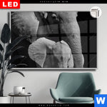 Leuchtbild Dia Mutter Baby Elefant Querformat Produktvorschau mit dem Bild Mutter & Baby Elefant im Format Querformat.
