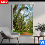 Leuchtbild Dia Mystischer Wald Hochformat Produktvorschau mit dem Bild Mystischer Wald im Format Hochformat.