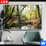 Leuchtbild Dia Natuerlicher Wald Querformat Produktvorschau mit dem Bild Natürlicher Wald im Format Querformat.