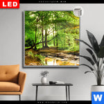 Leuchtbild Dia Natur Pur Der Wald Quadrat Produktvorschau mit dem Bild Natur pur - Der Wald im Format Quadrat.