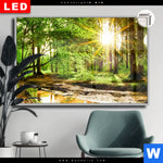 Leuchtbild Dia Natur Pur Der Wald Querformat Produktvorschau mit dem Bild Natur pur - Der Wald im Format Querformat.