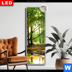 Leuchtbild Dia Natur Pur Der Wald Schmal Produktvorschau mit dem Bild Natur pur - Der Wald im Format Schmal.