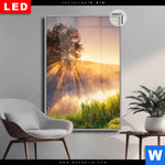 Leuchtbild Dia Nebel Am Fluss Hochformat Produktvorschau mit dem Bild Nebel am Fluss im Format Hochformat.