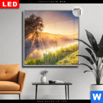 Leuchtbild Dia Nebel Am Fluss Quadrat Produktvorschau mit dem Bild Nebel am Fluss im Format Quadrat.