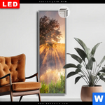 Leuchtbild Dia Nebel Am Fluss Schmal Produktvorschau mit dem Bild Nebel am Fluss im Format Schmal.