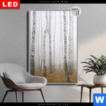 Leuchtbild Dia Nebel Im Birkenwald Hochformat Produktvorschau mit dem Bild Nebel im Birkenwald im Format Hochformat.