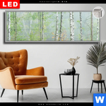 Leuchtbild Dia Nebliger Birkenwald Panorama Produktvorschau mit dem Bild Nebliger Birkenwald im Format Panorama.