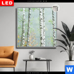 Leuchtbild Dia Nebliger Birkenwald Quadrat Produktvorschau mit dem Bild Nebliger Birkenwald im Format Quadrat.