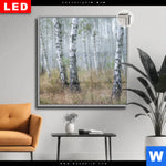 Leuchtbild Dia Nebliger Morgen Im Birkenwald Quadrat Produktvorschau mit dem Bild Nebliger Morgen im Birkenwald im Format Quadrat.