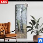 Leuchtbild Dia Nebliger Morgen Im Birkenwald Schmal Produktvorschau mit dem Bild Nebliger Morgen im Birkenwald im Format Schmal.