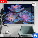 Leuchtbild Dia Neon Sukkulenten Querformat Produktvorschau mit dem Bild Neon Sukkulenten im Format Querformat.