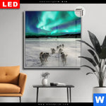 Leuchtbild Dia Nordlichter Und Schlittenhunde Quadrat Produktvorschau mit dem Bild Nordlichter und Schlittenhunde im Format Quadrat.