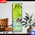 Leuchtbild Dia Orchidee Im Japanischer Brunnen Schmal Produktvorschau mit dem Bild Orchidee im japanischer Brunnen im Format Schmal.