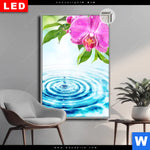 Leuchtbild Dia Orchidee Wassertropfen Hochformat Produktvorschau mit dem Bild Orchidee & Wassertropfen im Format Hochformat.