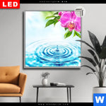 Leuchtbild Dia Orchidee Wassertropfen Quadrat Produktvorschau mit dem Bild Orchidee & Wassertropfen im Format Quadrat.