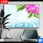 Leuchtbild Dia Orchidee Wassertropfen Querformat Produktvorschau mit dem Bild Orchidee & Wassertropfen im Format Querformat.