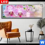 Leuchtbild Dia Orchideen Blueten Panorama Produktvorschau mit dem Bild Orchideen Blüten im Format Panorama.