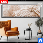 Leuchtbild Dia Pampasgras Panorama Produktvorschau mit dem Bild Pampasgras im Format Panorama.