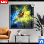 Leuchtbild Dia Papagei Farbexplosion Quadrat Produktvorschau mit dem Bild Papagei - Farbexplosion im Format Quadrat.