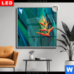 Leuchtbild Dia Paradiesvogelblume Quadrat Produktvorschau mit dem Bild Paradiesvogelblume im Format Quadrat.