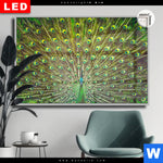 Leuchtbild Dia Pfauenschwanz Querformat Produktvorschau mit dem Bild Pfauenschwanz im Format Querformat.