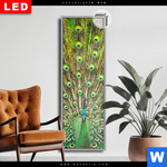 Leuchtbild Dia Pfauenschwanz Schmal Produktvorschau mit dem Bild Pfauenschwanz im Format Schmal.