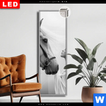 Leuchtbild Dia Pferd Wildnis Liebe Schmal Produktvorschau mit dem Bild Pferd - Wildnis Liebe im Format Schmal.