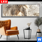 Leuchtbild Dia Pferdeliebe Stolze Freiheit Panorama Produktvorschau mit dem Bild Pferdeliebe - Stolze Freiheit im Format Panorama.