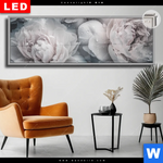 Leuchtbild Dia Pony Flowers Panorama Produktvorschau mit dem Bild Pony Flowers im Format Panorama.