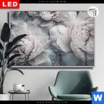 Leuchtbild Dia Pony Flowers Querformat Produktvorschau mit dem Bild Pony Flowers im Format Querformat.