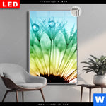 Leuchtbild Dia Pusteblume Mit Tautropfen Hochformat Produktvorschau mit dem Bild Pusteblume mit Tautropfen im Format Hochformat.