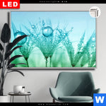 Leuchtbild Dia Pusteblume Mit Tautropfen Querformat Produktvorschau mit dem Bild Pusteblume mit Tautropfen im Format Querformat.