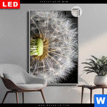 Leuchtbild Dia Pusteblume No 10 Hochformat Produktvorschau mit dem Bild Pusteblume No. 10 im Format Hochformat.