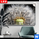 Leuchtbild Dia Pusteblume No 10 Querformat Produktvorschau mit dem Bild Pusteblume No. 10 im Format Querformat.