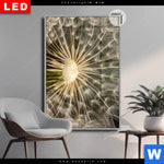 Leuchtbild Dia Pusteblume No 11 Hochformat Produktvorschau mit dem Bild Pusteblume No. 11 im Format Hochformat.