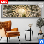 Leuchtbild Dia Pusteblume No 11 Panorama Produktvorschau mit dem Bild Pusteblume No. 11 im Format Panorama.