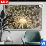 Leuchtbild Dia Pusteblume No 11 Querformat Produktvorschau mit dem Bild Pusteblume No. 11 im Format Querformat.