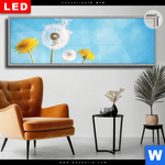 Leuchtbild Dia Pusteblume No 2 Panorama Produktvorschau mit dem Bild Pusteblume No. 2 im Format Panorama.