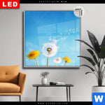 Leuchtbild Dia Pusteblume No 2 Quadrat Produktvorschau mit dem Bild Pusteblume No. 2 im Format Quadrat.