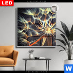 Leuchtbild Dia Pusteblume No 9 Quadrat Produktvorschau mit dem Bild Pusteblume No. 9 im Format Quadrat.