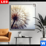 Leuchtbild Dia Pusteblume Quadrat Produktvorschau mit dem Bild Pusteblume im Format Quadrat.