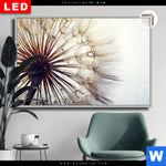 Leuchtbild Dia Pusteblume Querformat Produktvorschau mit dem Bild Pusteblume im Format Querformat.