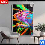 Leuchtbild Dia Regenbogen Chamaeleon No 2 Hochformat Produktvorschau mit dem Bild Regenbogen Chamäleon No.2 im Format Hochformat.