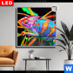 Leuchtbild Dia Regenbogen Chamaeleon No 2 Quadrat Produktvorschau mit dem Bild Regenbogen Chamäleon No.2 im Format Quadrat.