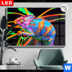 Leuchtbild Dia Regenbogen Chamaeleon No 2 Querformat Produktvorschau mit dem Bild Regenbogen Chamäleon No.2 im Format Querformat.