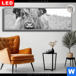 Leuchtbild Dia Rind Im Hochland Panorama Produktvorschau mit dem Bild Rind im Hochland im Format Panorama.