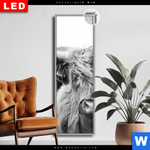 Leuchtbild Dia Rind Im Hochland Schmal Produktvorschau mit dem Bild Rind im Hochland im Format Schmal.