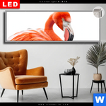 Leuchtbild Dia Rosa Flamingo Panorama Produktvorschau mit dem Bild Rosa Flamingo im Format Panorama.